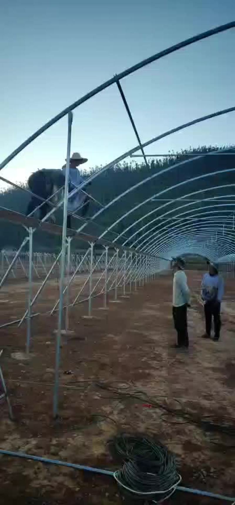 连栋大棚工地