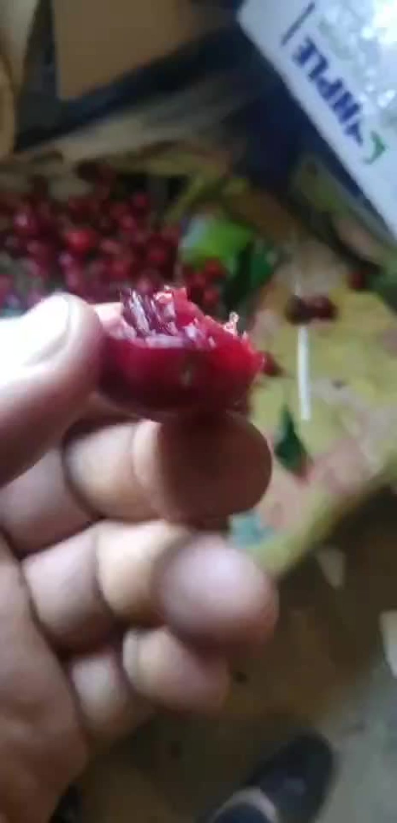 樱桃