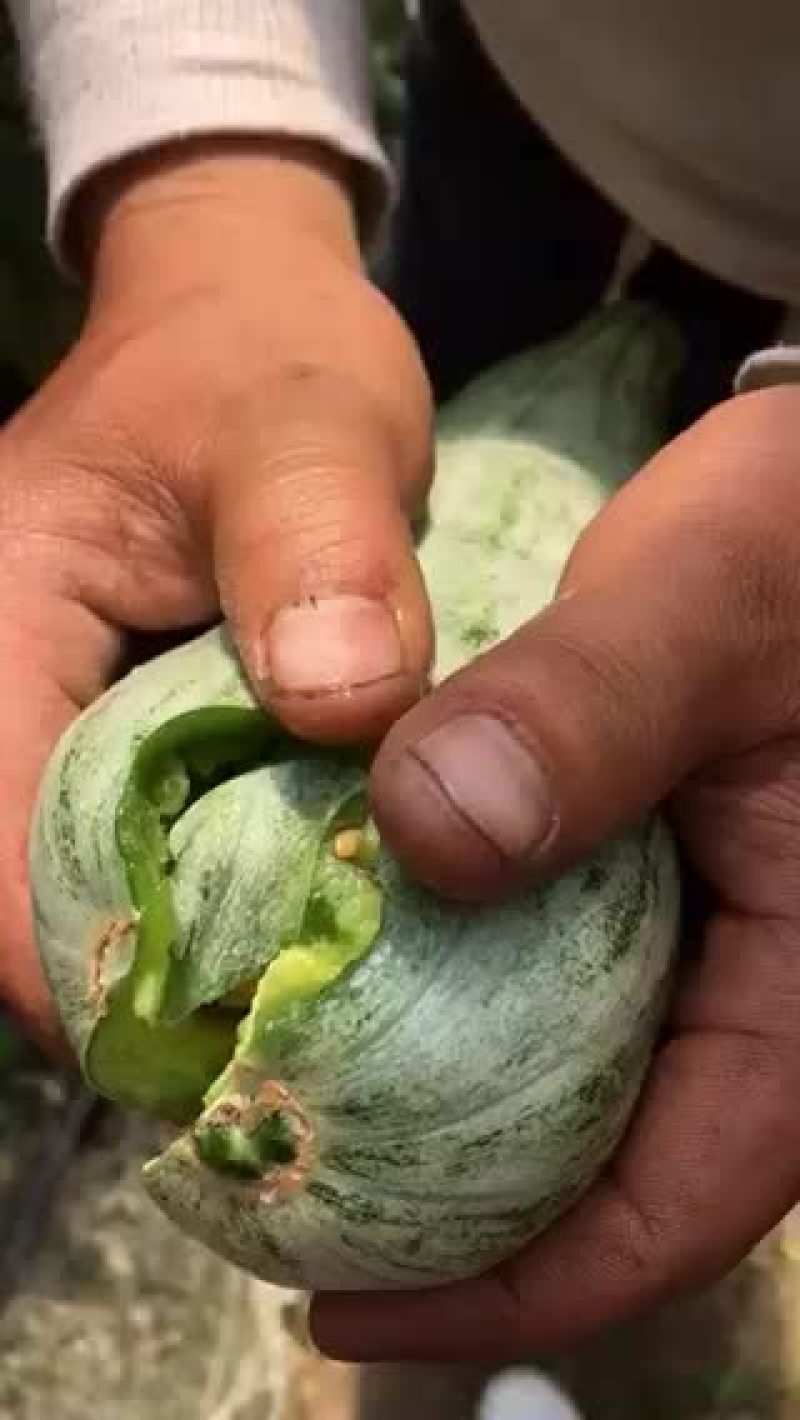 羊角密