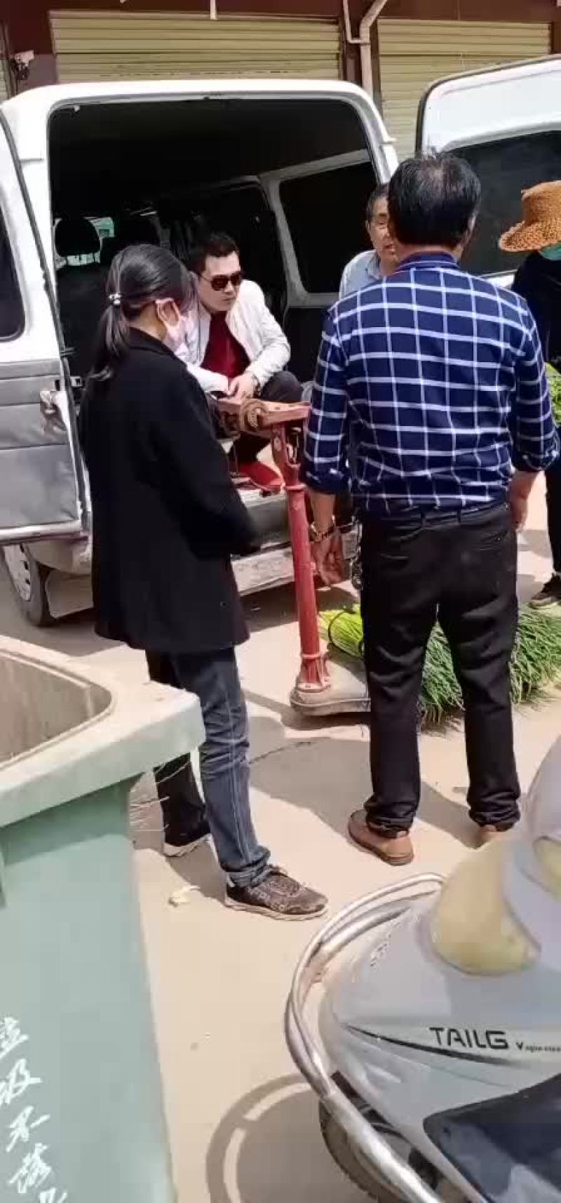 本地新鲜大蒜，蒜苔大量供应，品质保证全国发货，欢迎订购