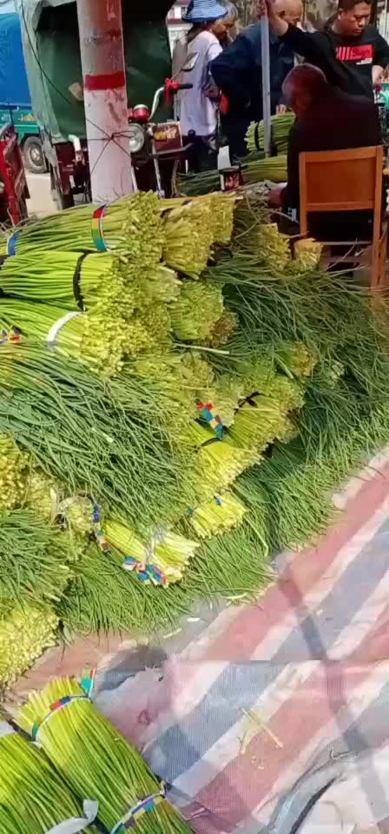 本地新鲜大蒜，蒜苔大量供应，品质保证全国发货，欢迎订购