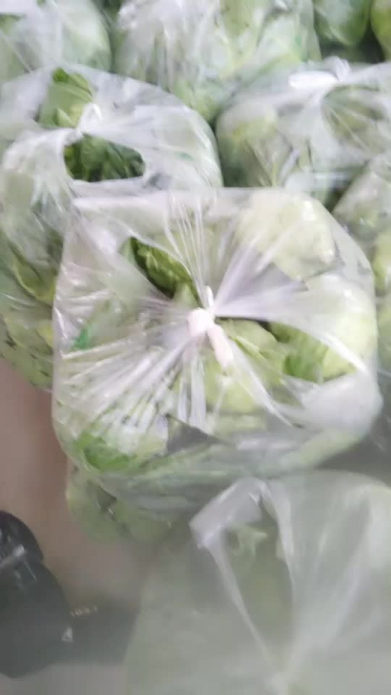 甘蓝类