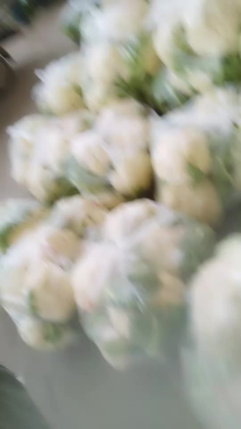 蔬菜