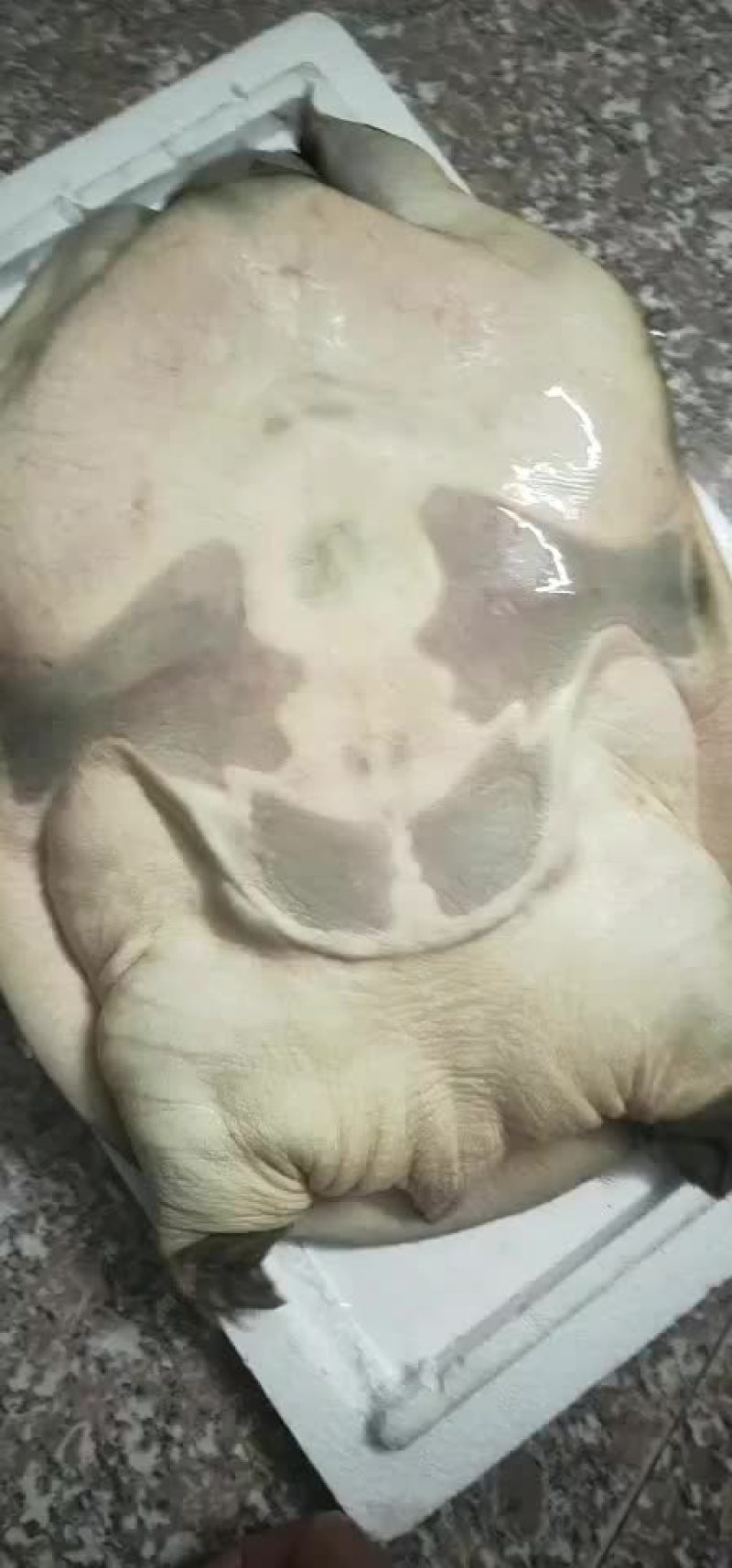 好鱼好鱼来来来牛逼牛逼