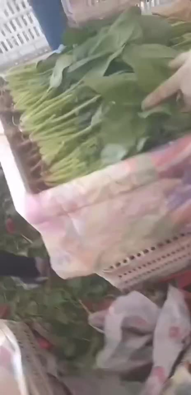 蔬菜