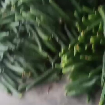 蔬菜代办