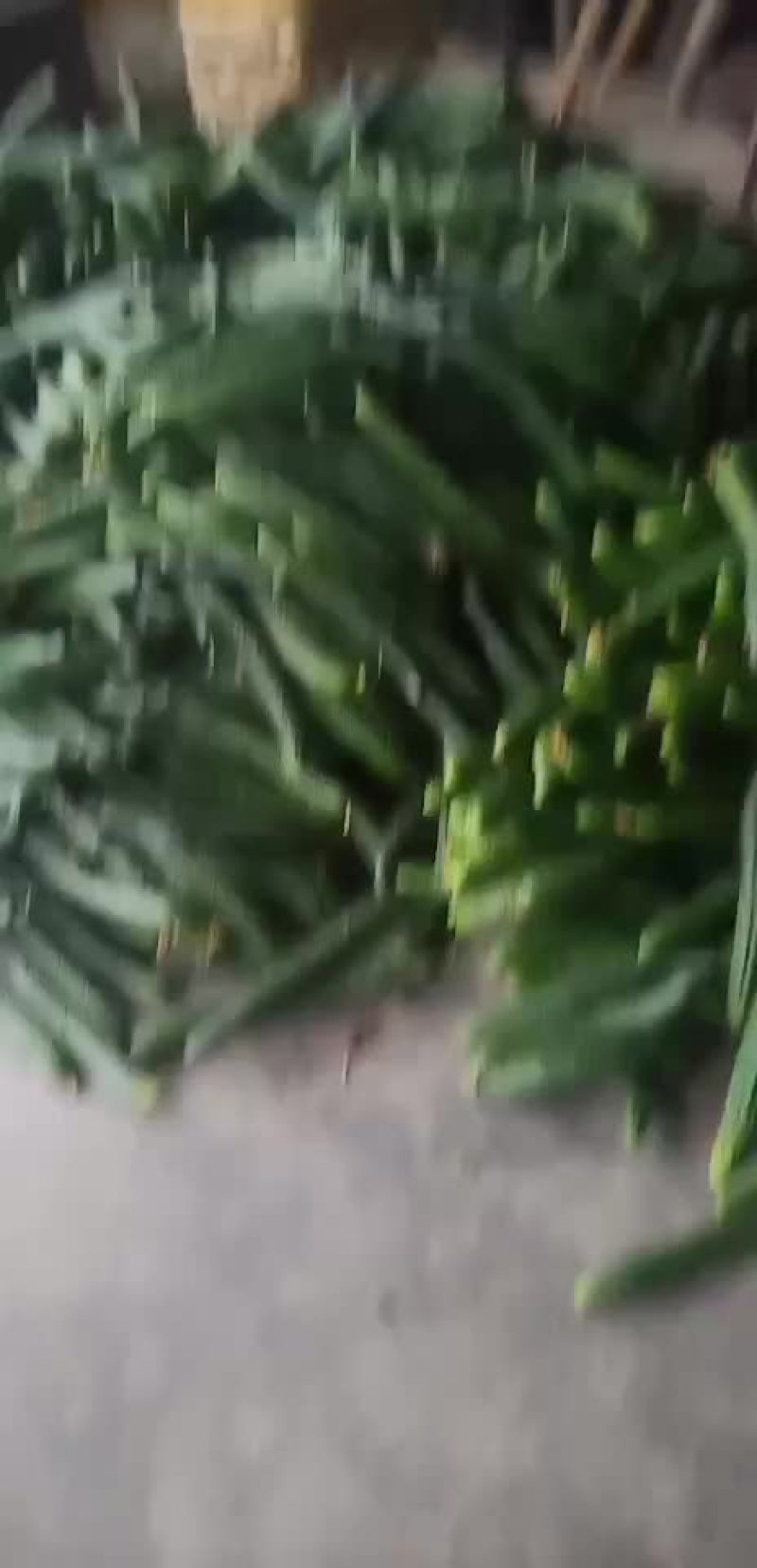 蔬菜代办