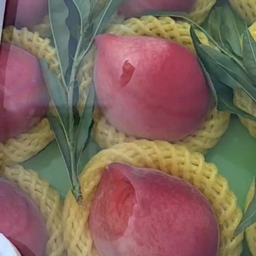 桃