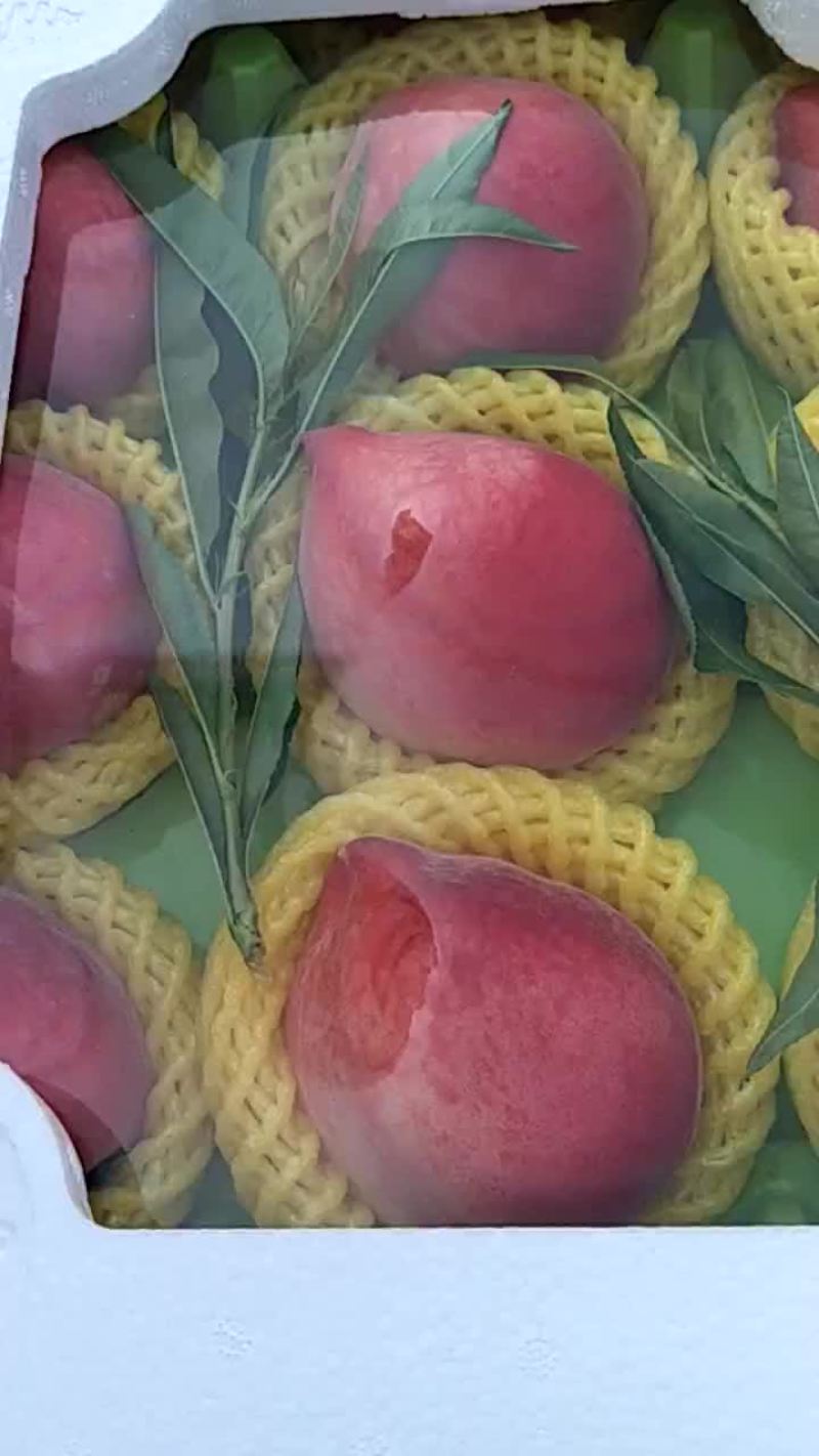 桃