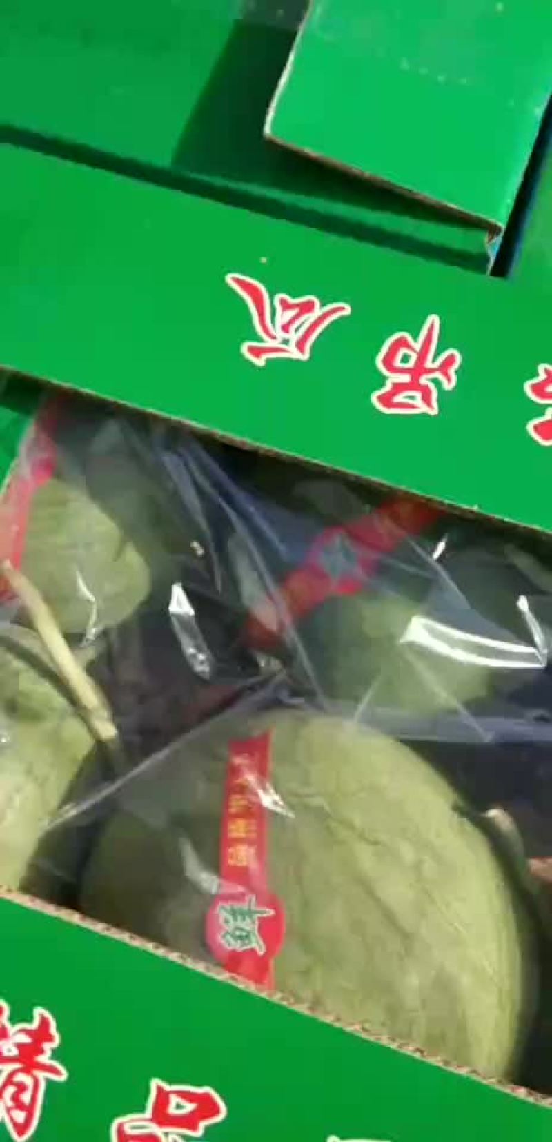小吊瓜