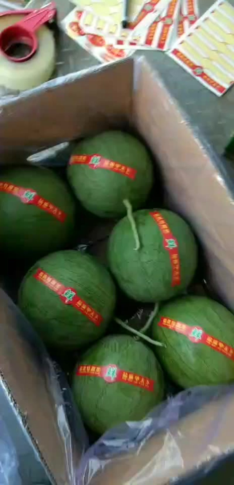小吊瓜