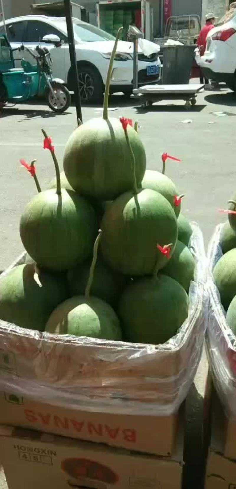 小吊瓜