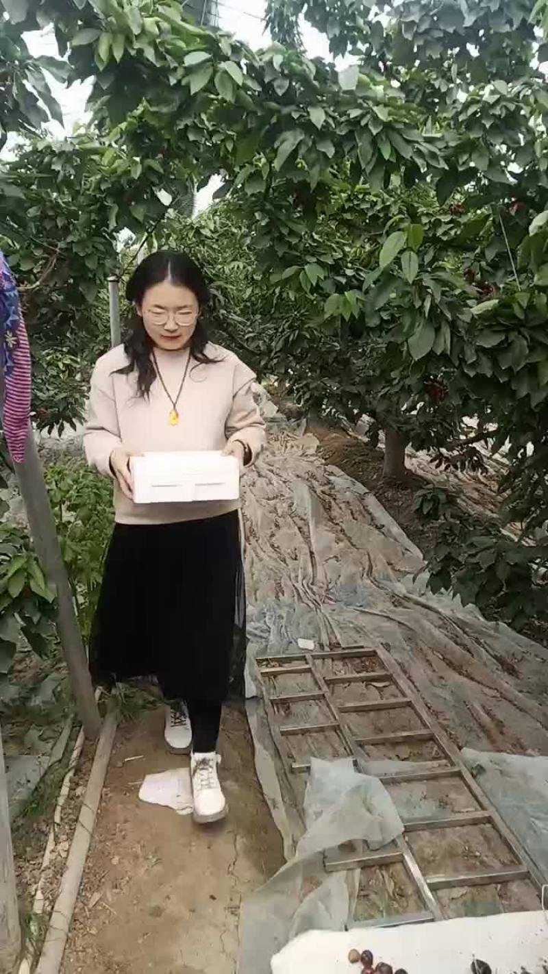 樱桃