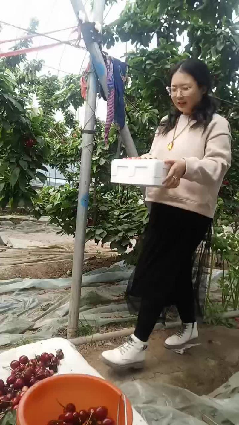 樱桃