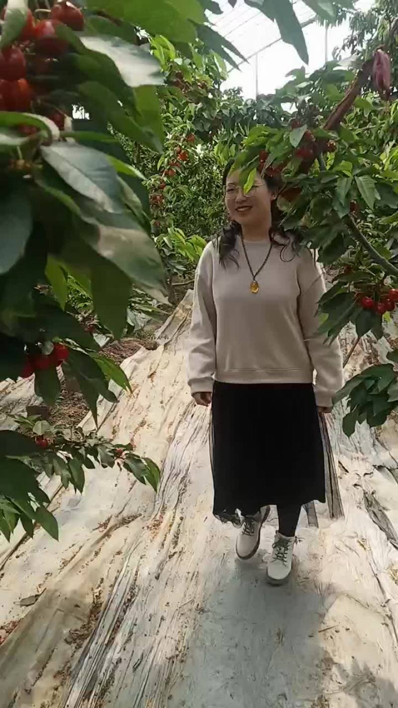 樱桃