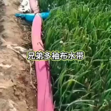浇地不水带，轻松又方便，喜欢的可以试试！