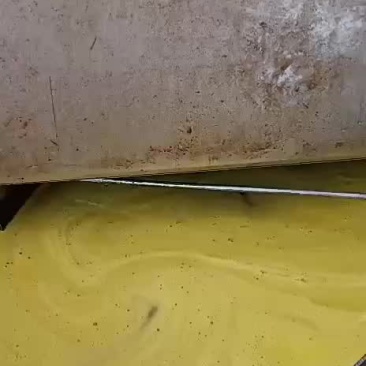 醇香菜籽油农家自榨好料出好油
