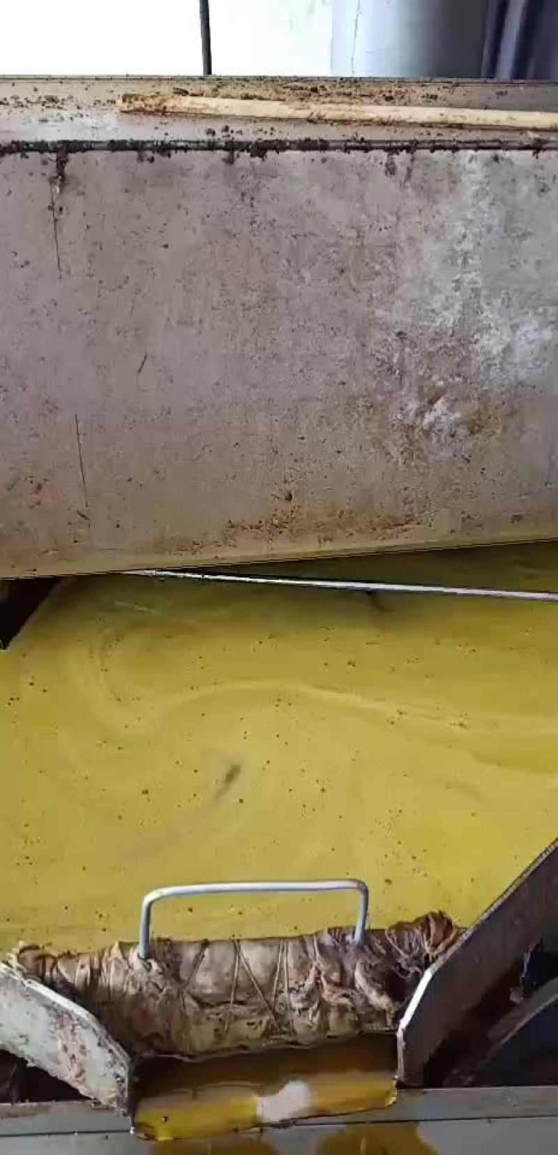 醇香菜籽油农家自榨好料出好油