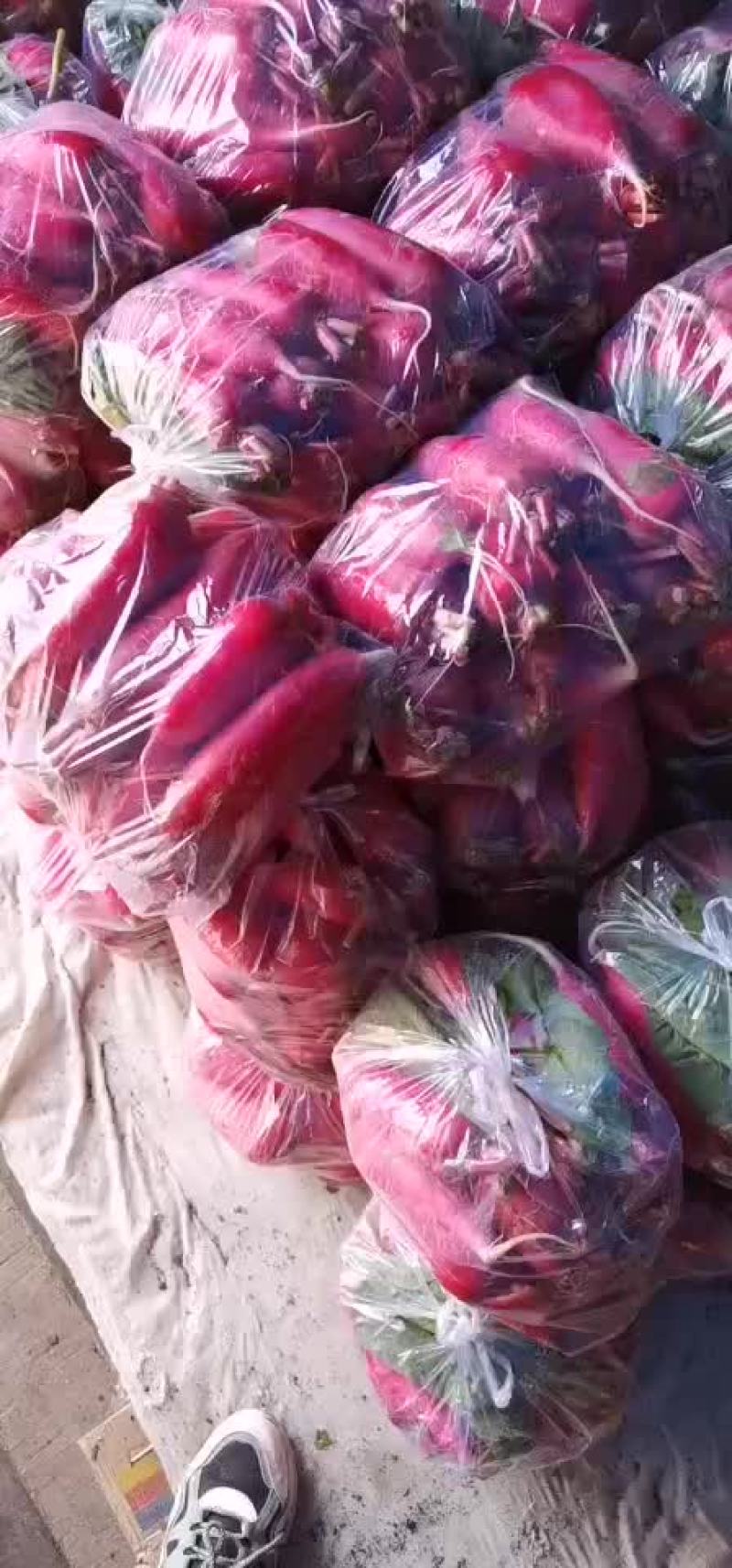 卖香菜