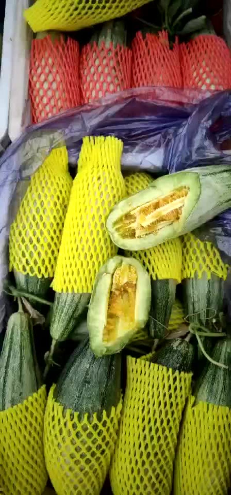 羊角蜜，博洋九，绿宝各种甜瓜