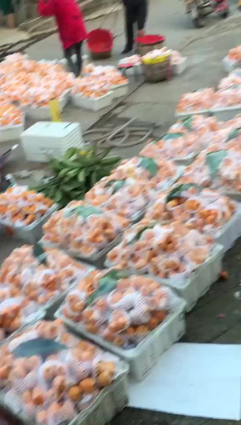 枇杷
