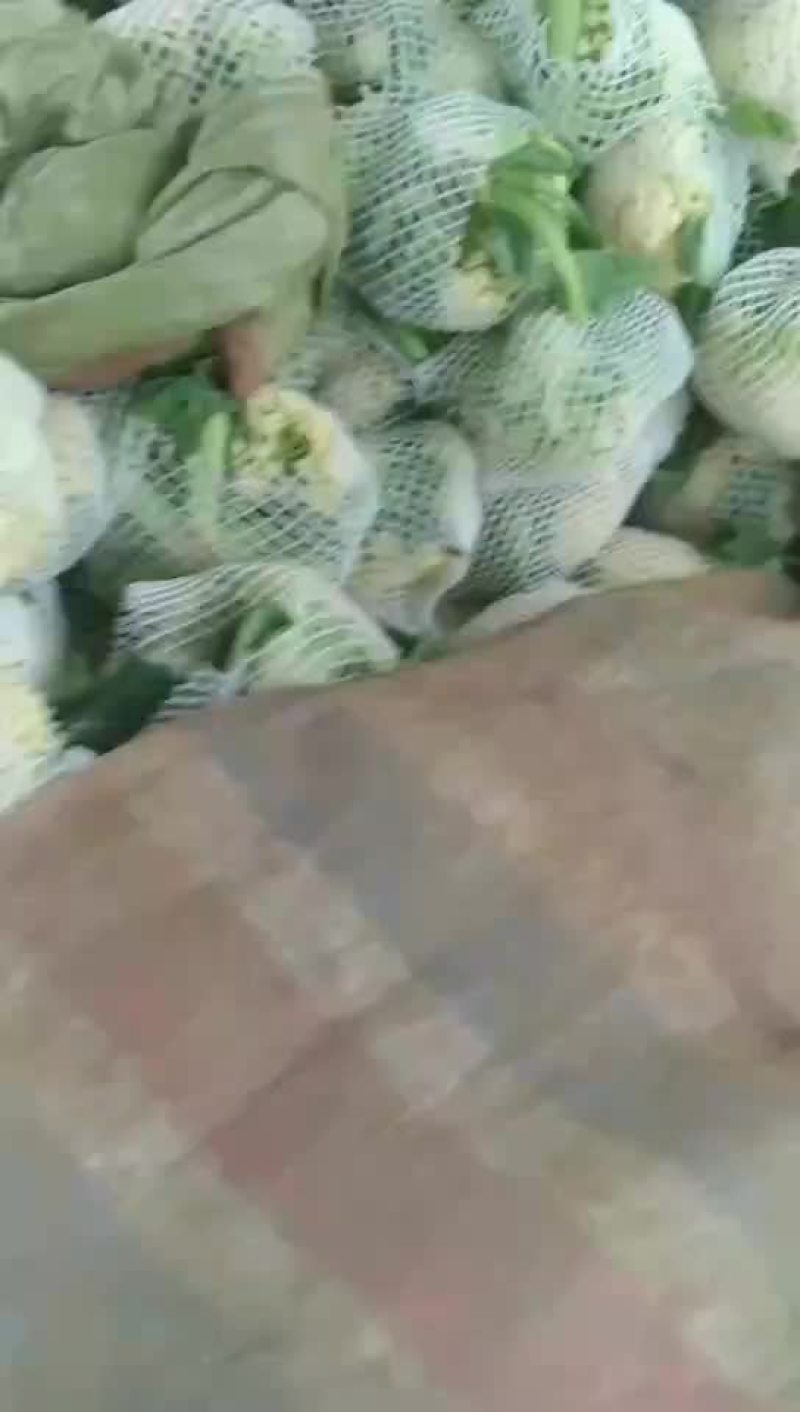 蔬菜