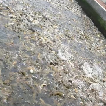 恒兴水严有限公司