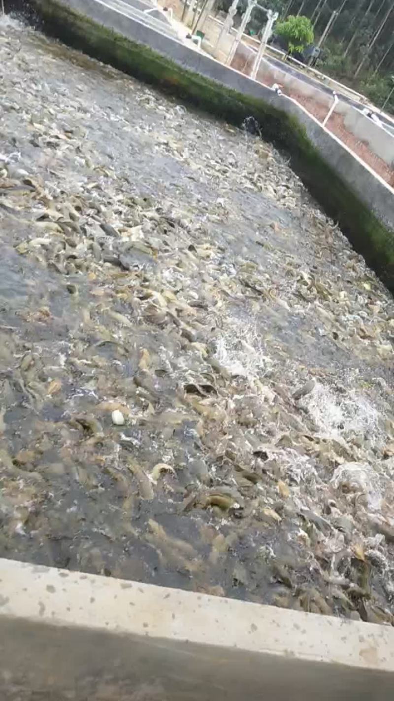恒兴水严有限公司