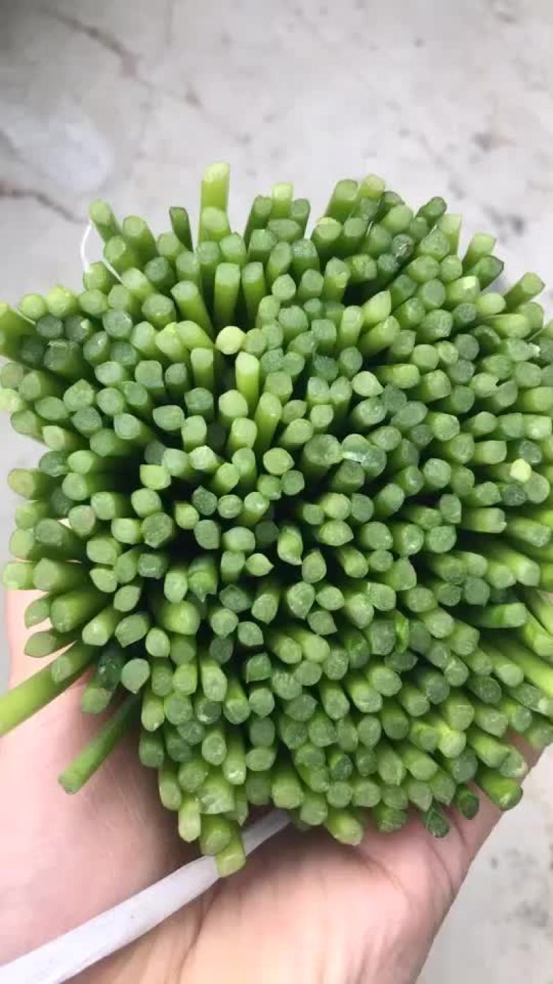一手货源