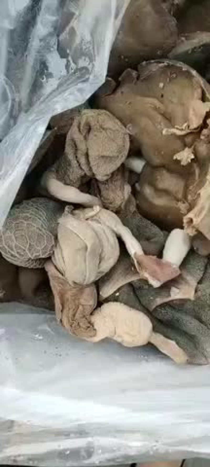 精品上脑