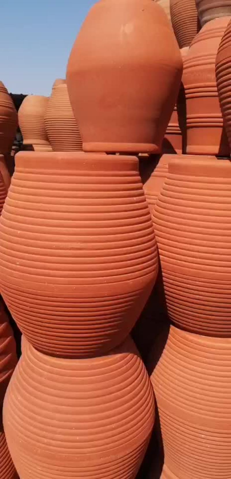花盆