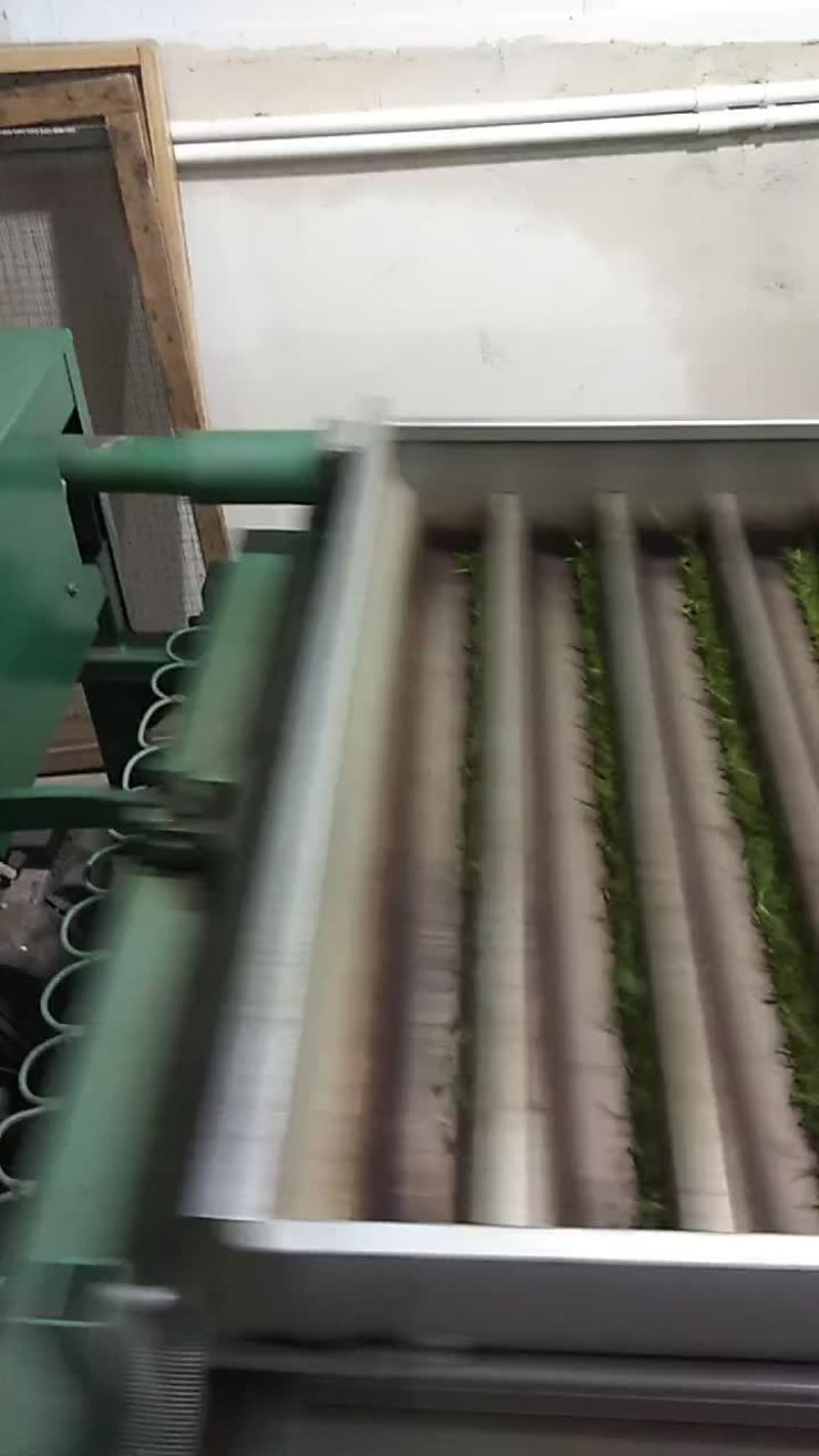 岳西茗茶