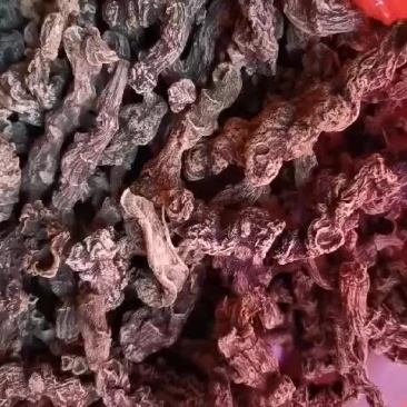 野生三七欢迎合作共赢