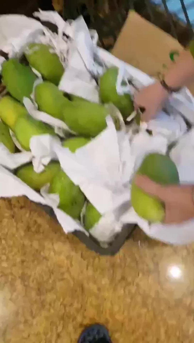 越南玉芒电商果工厂果