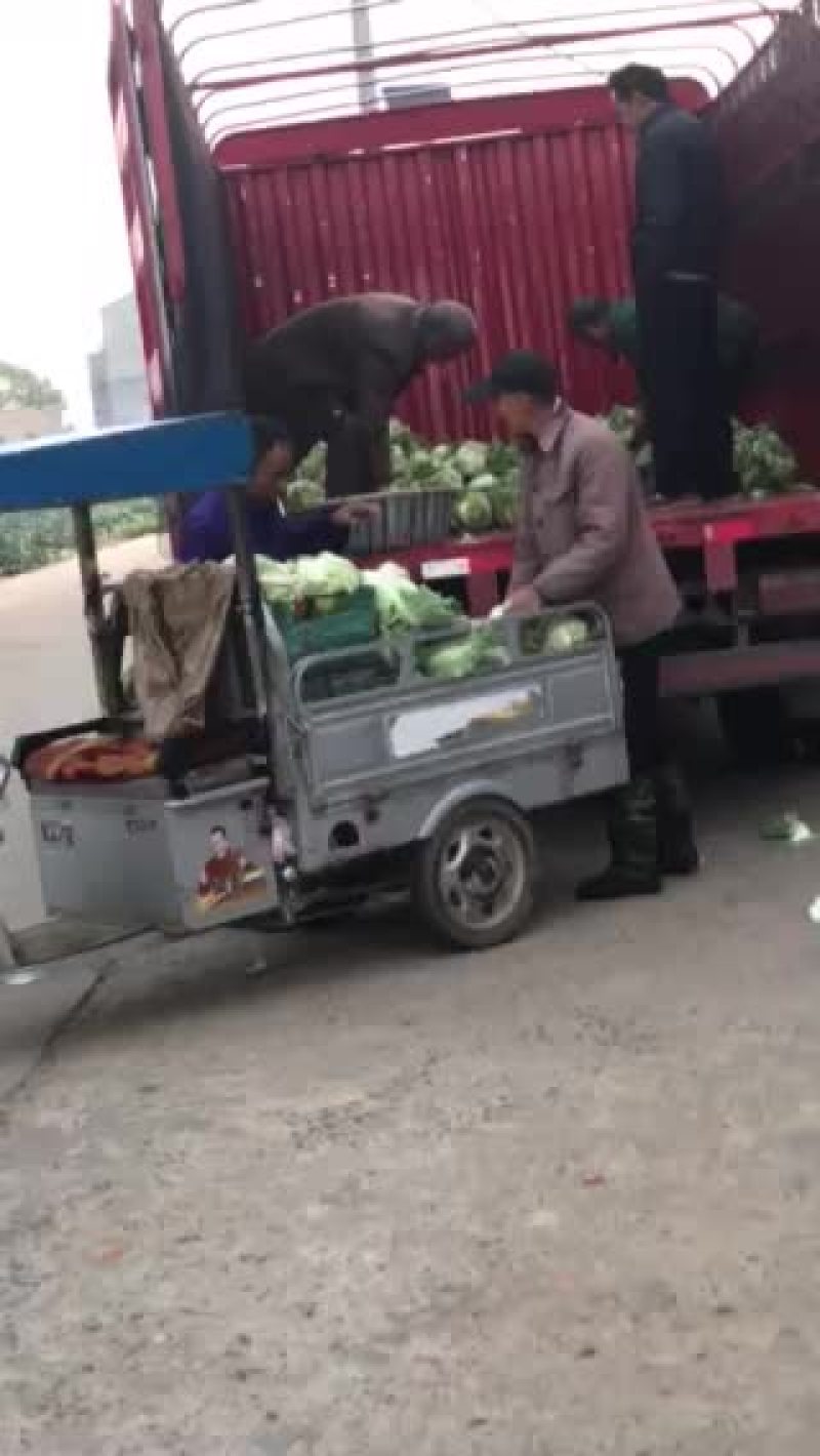 花菜