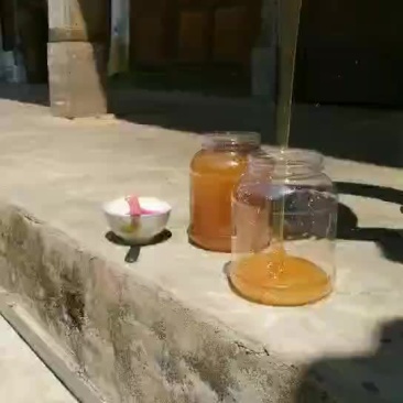 老家自己纯天然蜂蜜