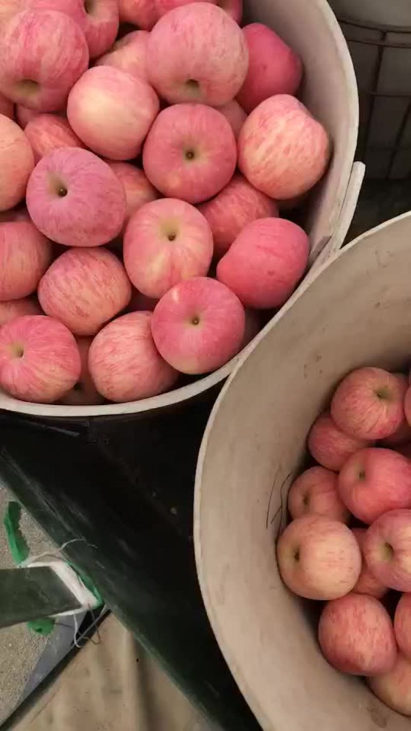 欢迎骚扰