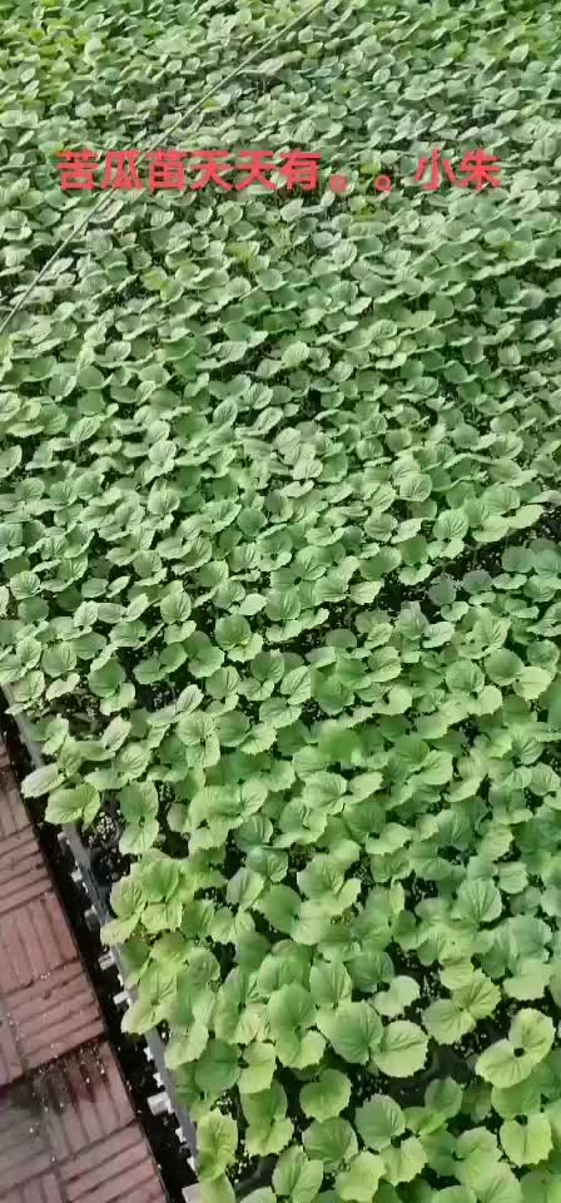 厂家直销，货优价廉，质量好