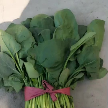 波菜