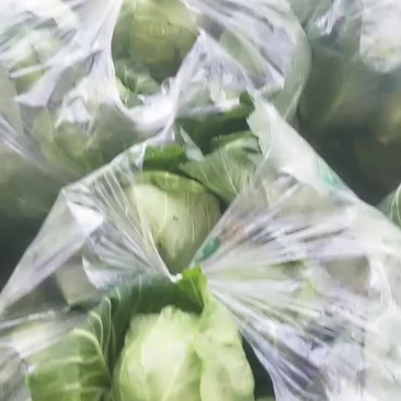 蔬菜
