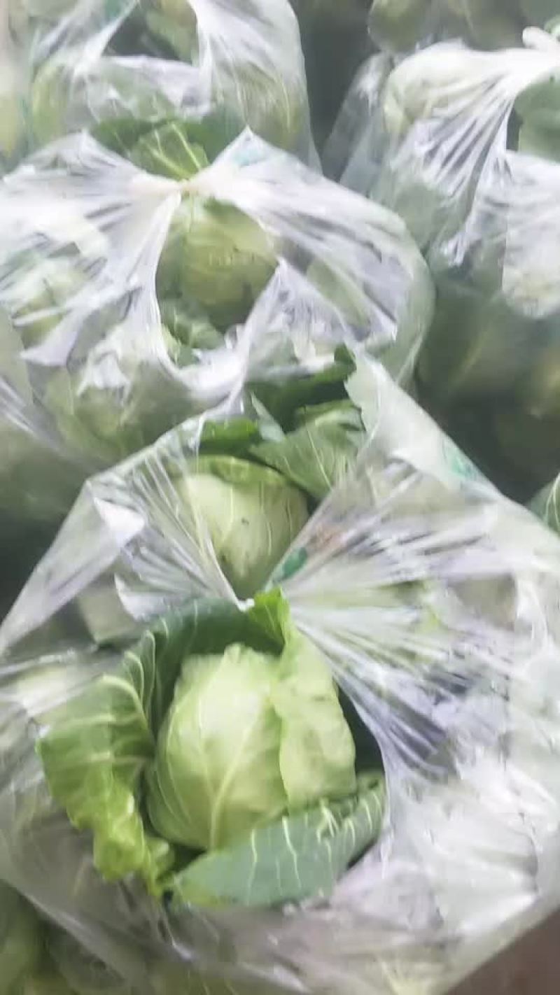 蔬菜