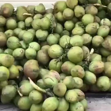 太国香水椰子