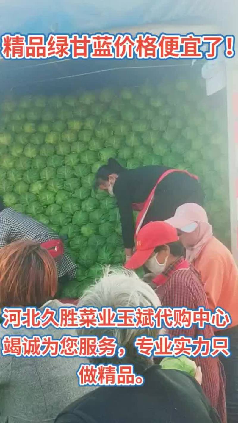 【产地直发】河北蔬菜基地优质绿甘蓝新鲜上市货源充足