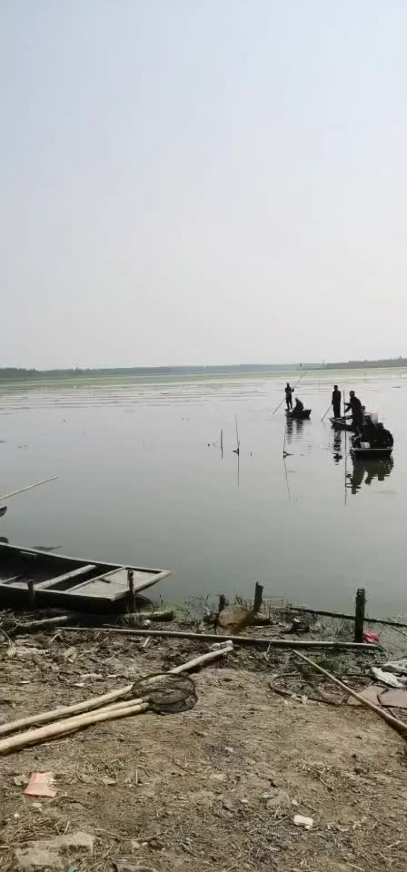 微山湖万亩龙虾养殖基地