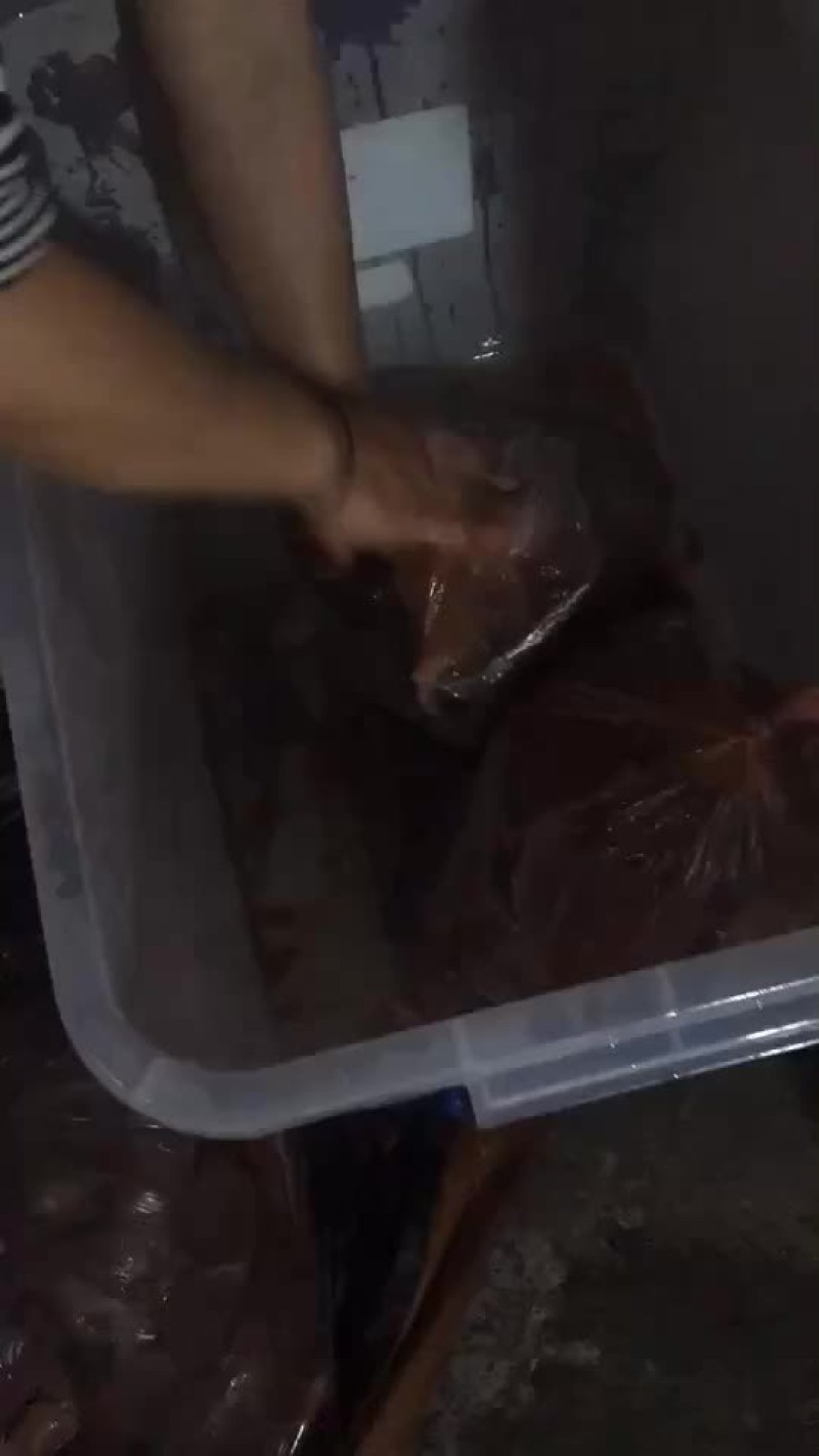 肥猪的猪肝保鲜肝，发鲜货，质量好价优惠，