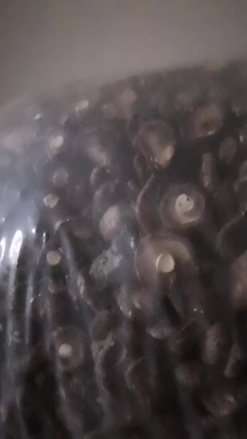 干香菇