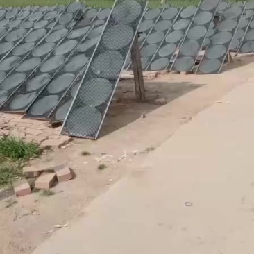 纯手工红薯粉皮儿一手货源
