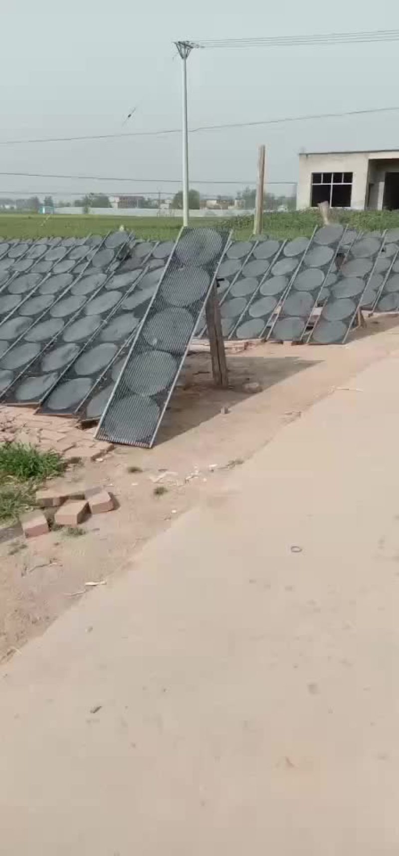 纯手工红薯粉皮儿一手货源