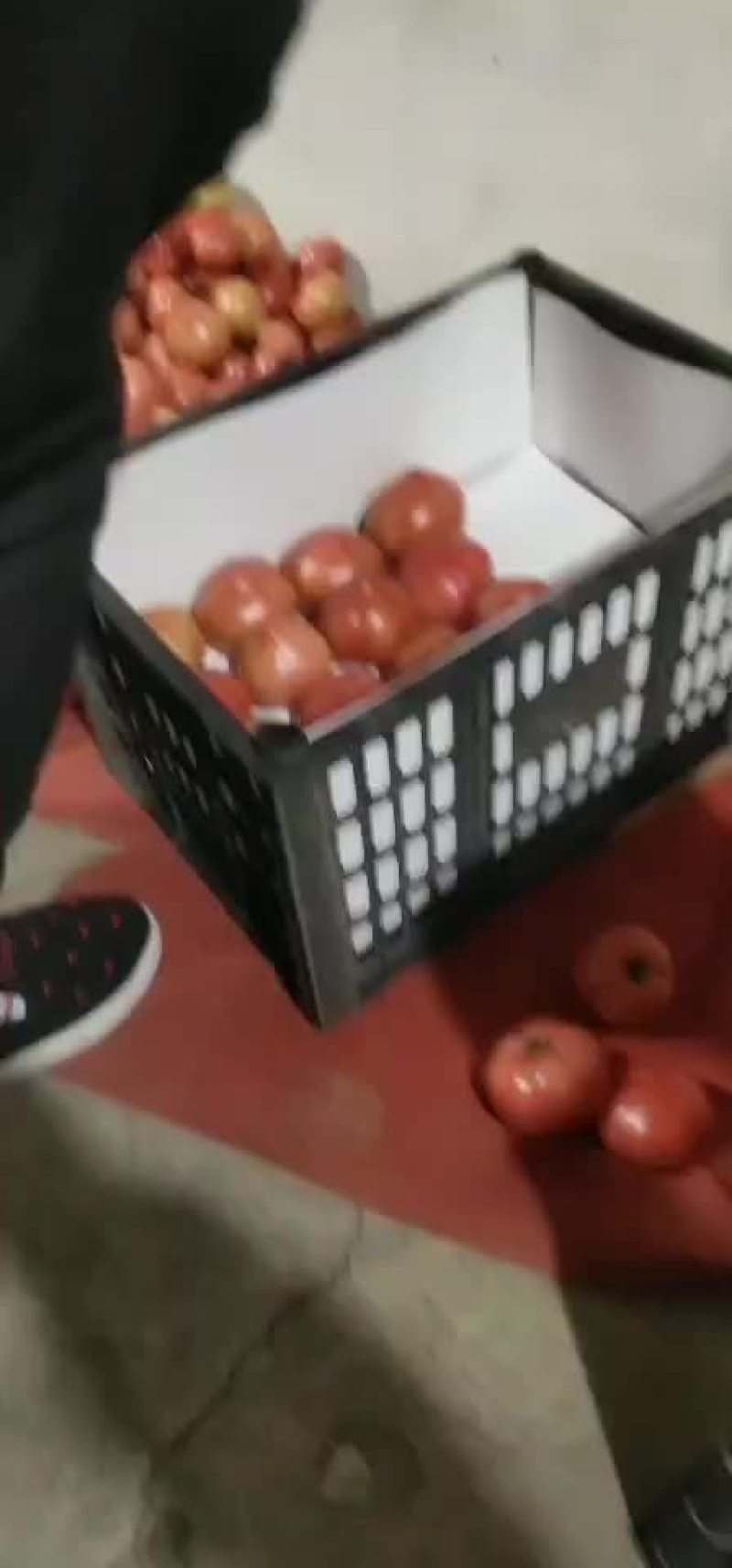 西红柿