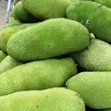 三亚菠萝蜜